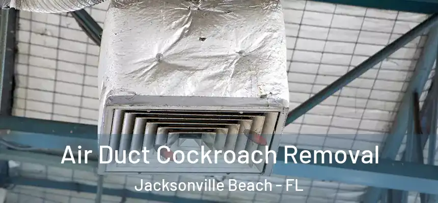 Air Duct Cockroach Removal Jacksonville Beach - FL