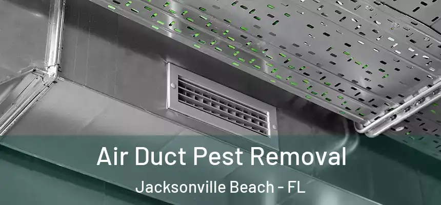 Air Duct Pest Removal Jacksonville Beach - FL