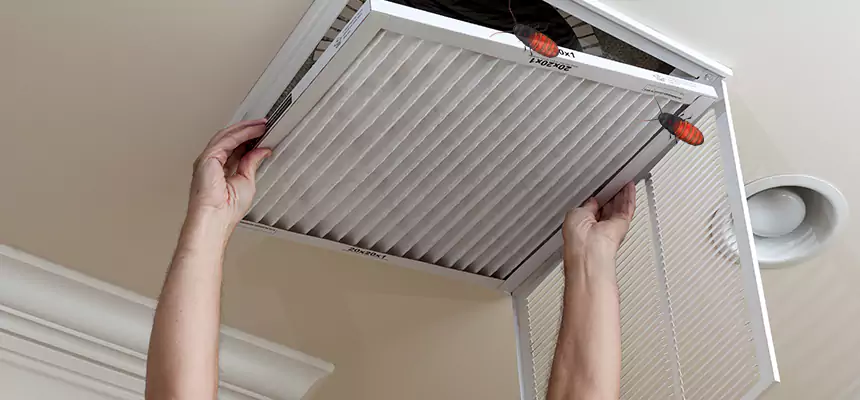 Preventive Cockroach-Proofing for Ducts in Jacksonville Beach