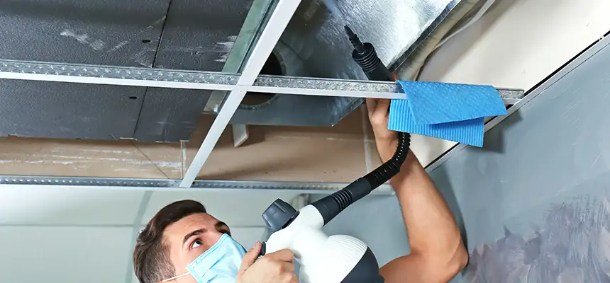 Our Air Duct Rodent Removal Services in Jacksonville Beach, FL