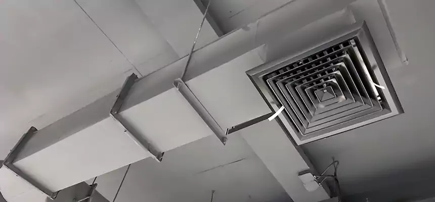 Our Pest Removal From Ducts Services in Jacksonville Beach, FL