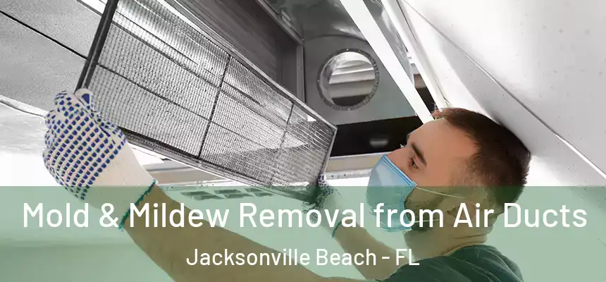 Mold & Mildew Removal from Air Ducts Jacksonville Beach - FL