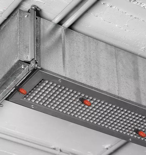 About Air Duct Cockroach Removal in Jacksonville Beach, FL