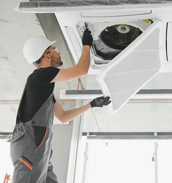 About Air Duct Rodent Removal in Jacksonville Beach, FL