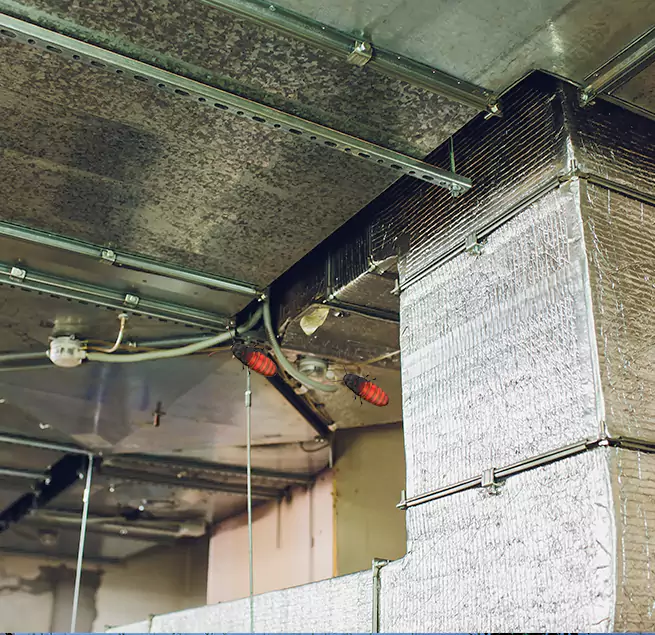 Why Homeowners & Businesses Trust Us in Jacksonville Beach, FL?