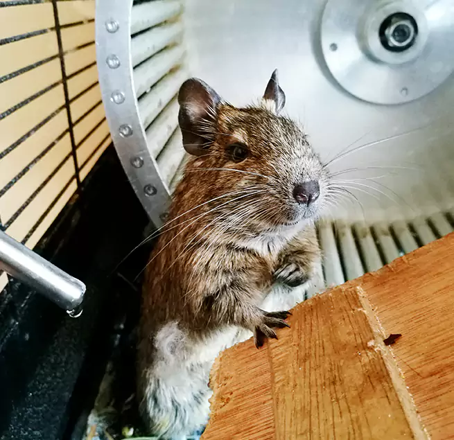 Why Homeowners & Businesses Trust Us Jacksonville Beach, FL?