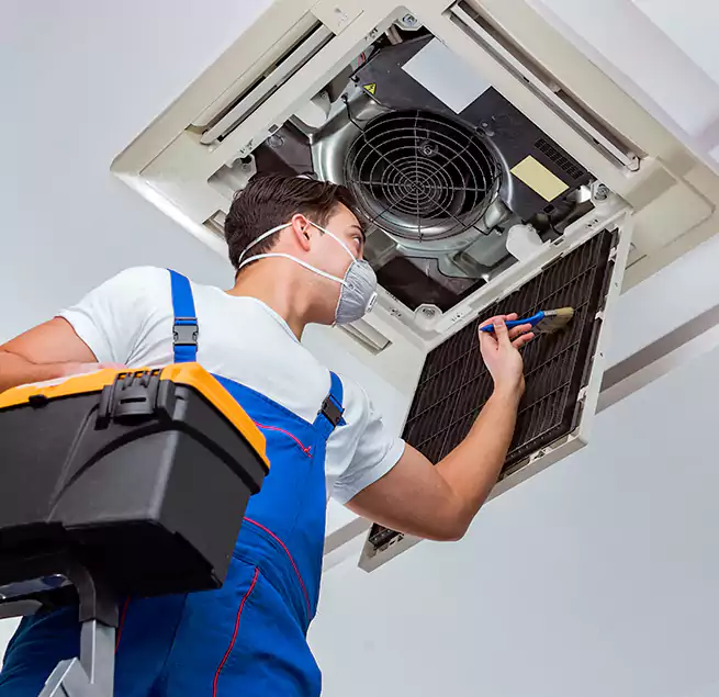 Why Homeowners & Businesses Trust Us in Jacksonville Beach, FL