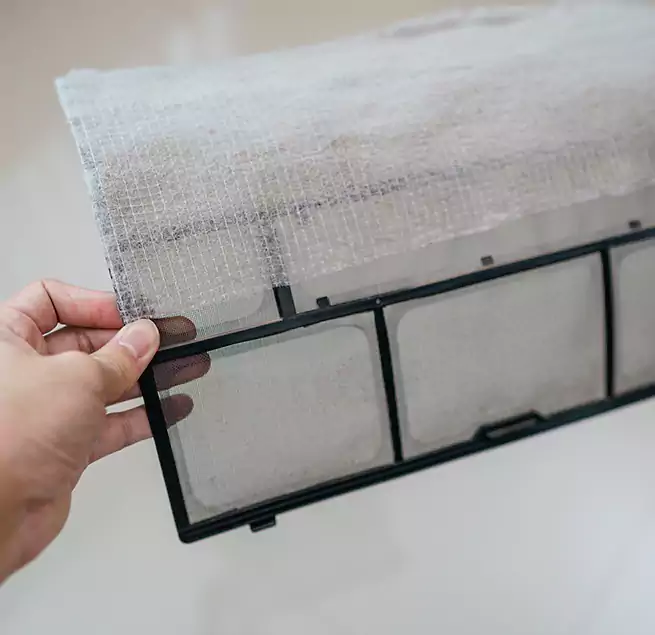 Why Homeowners & Businesses Trust Us in Jacksonville Beach, FL?