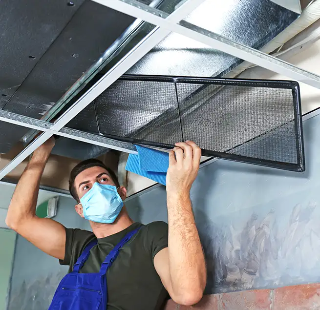 Why Homeowners & Businesses Trust Us in Jacksonville Beach, FL?