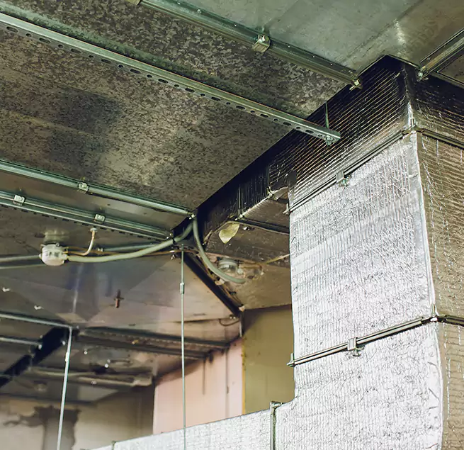 Why Homeowners & Businesses Trust Us in Jacksonville Beach, FL?